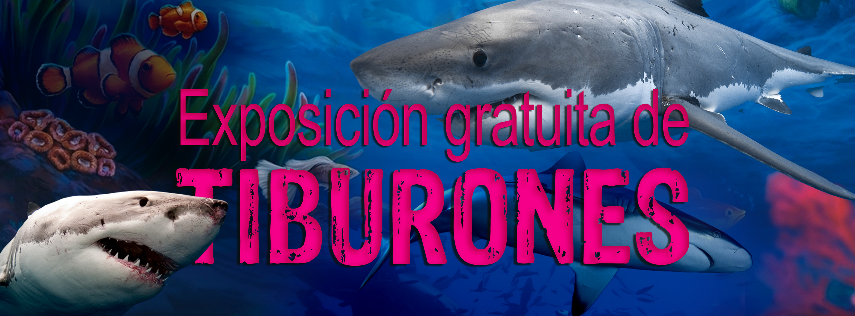 EXPOSICIÓN DE TIBURONES